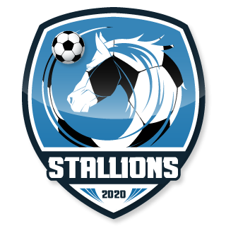 CCA STALLIONS