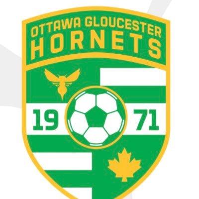 GLOUCESTER HORNETS